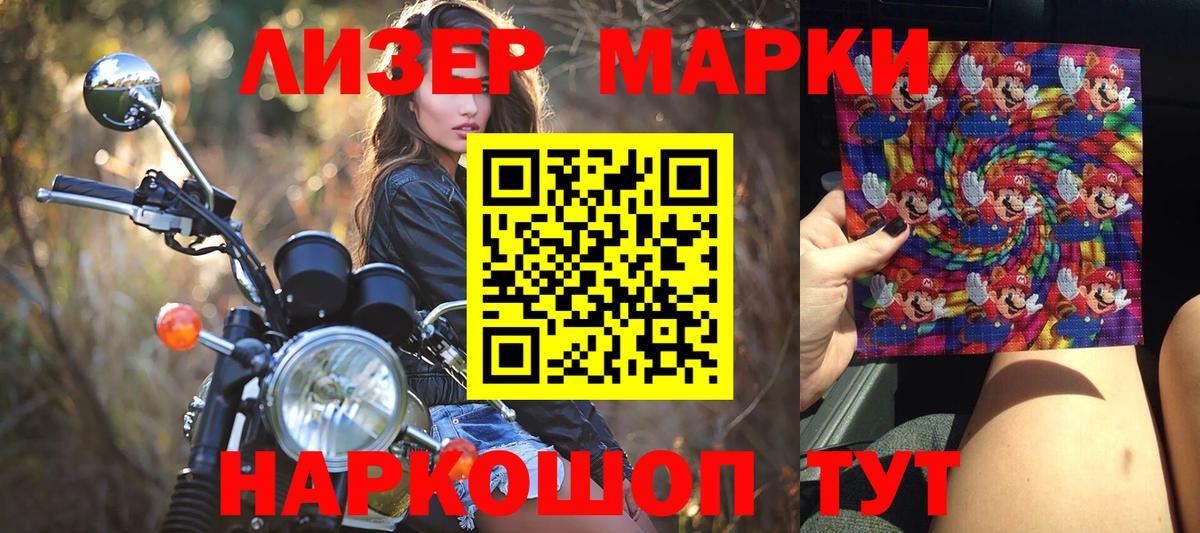 Конопля Кстово