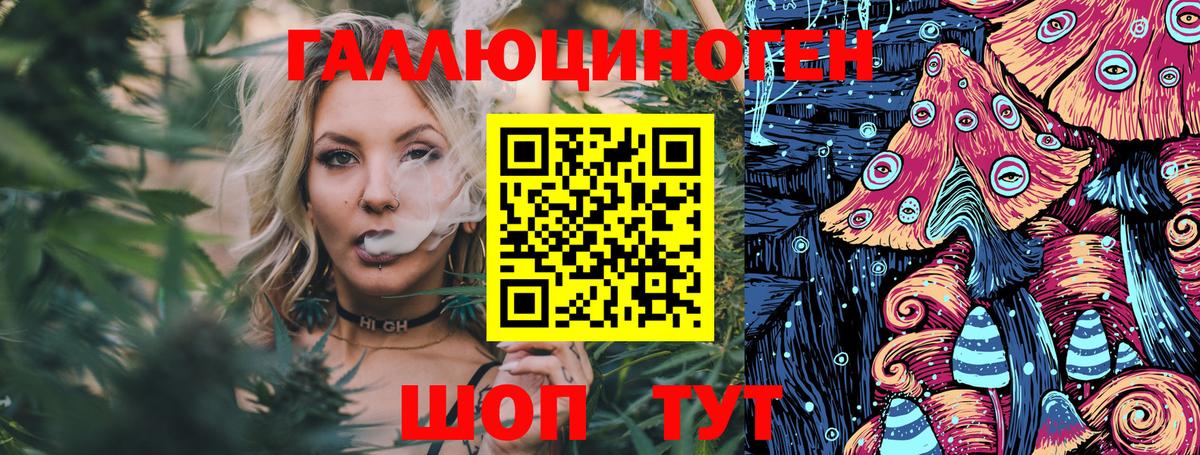 Псилоцибиновые грибы прущие грибы Кстово